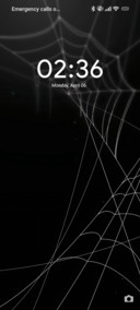 Black V