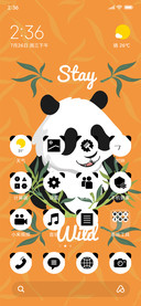 Quotes_Panda_3MDS