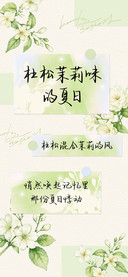 杜松茉莉味的夏日