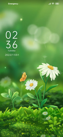 Daisy+flower
