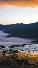 Beautiful Terraced Fields
