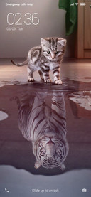 Cat Power NY