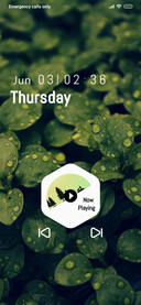 Plant_2