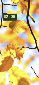 Leaves