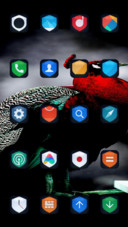 Red Peacock_DWM3