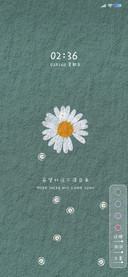 莫兰迪的雏菊
