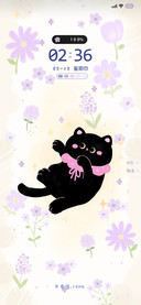 动态 花艺猫