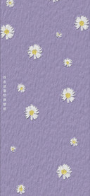 小雏菊吖
