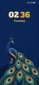 Peacock Grace