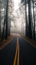 Road Trip (9)