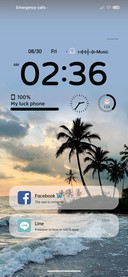 Coconut Forest