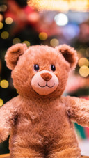 Teddy Day (8)