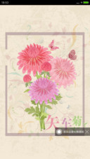手绘自然花卉III