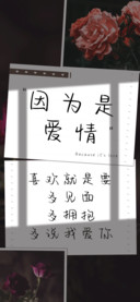 因为是爱情
