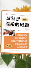 成熟是温柔的风霜