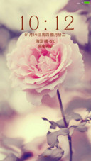 一朵花