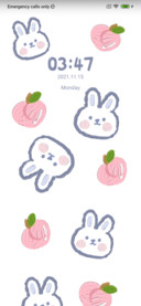 Fruit Rabbit