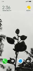 Nature Shadow