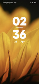 Sun Bloom