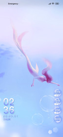 The mermaid dream