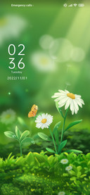 Daisy+flower