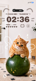 OS 夏日冬瓜猫