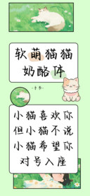 软萌猫猫奶酪体
