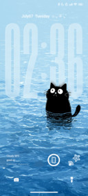 Swimming Cat