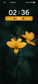 Yellow Flower