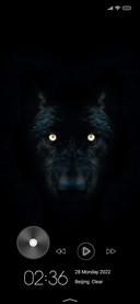 Scary Quo