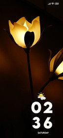 Lamps Flower
