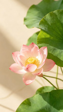 不负盛夏，不负时光
