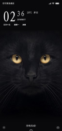猫控