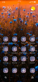 Blue Flowers