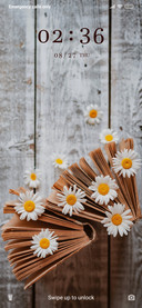 Daisies_3MDS