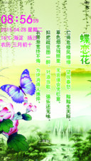 蝶恋花
