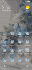 Dream+Butterfly