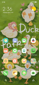 Quack Duck