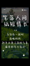 笔落人间纸短情长