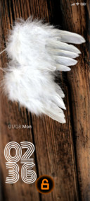 wooden feather