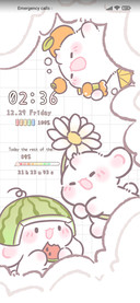 Foodie Rabbit