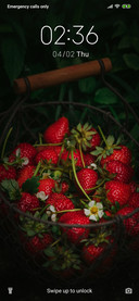 Strawberry_3MDS