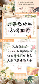 山茶盛放时私奔撒野