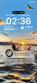 Ins落日与海鸥