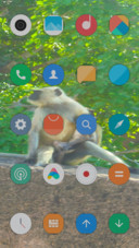 Lemur_DWM3