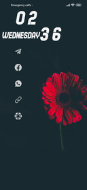 Iron