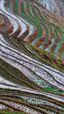 Beautiful Terraces