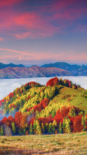 Colorful Autumn Panorama of the Mountains