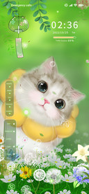 A kitten that meow
