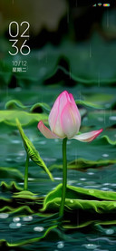 护眼雨荷